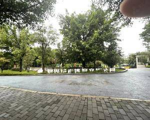 入口乒乓球台处