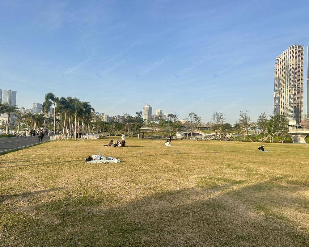 深圳前海石公园 - 星空草地